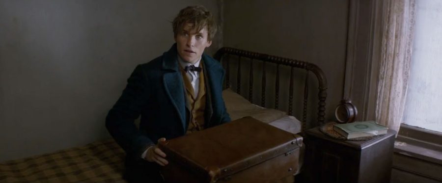 Will Fantastic Beasts Live up to the Hype?
