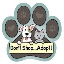 Adopt, Don't Shop!