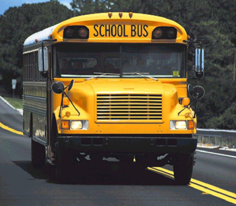 Tardies, Traffic, and Buses, Oh My!