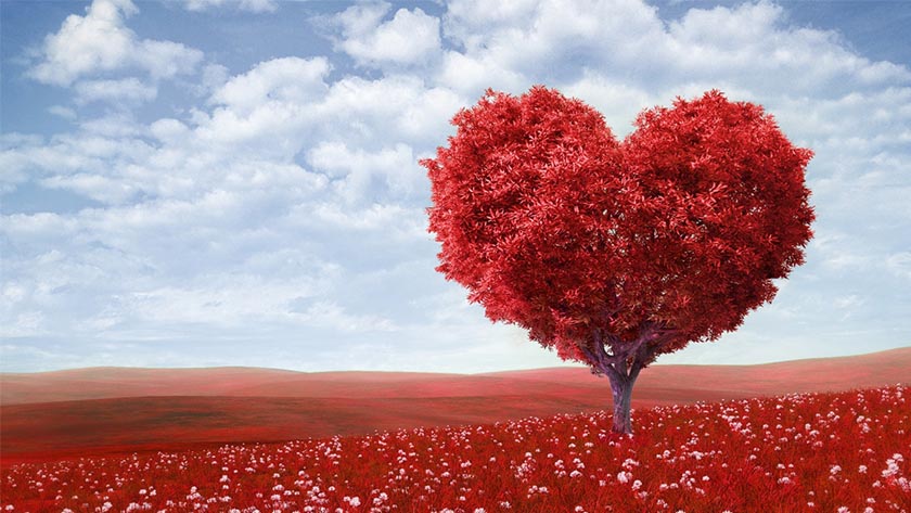 DIY Valentine's Day Decorations