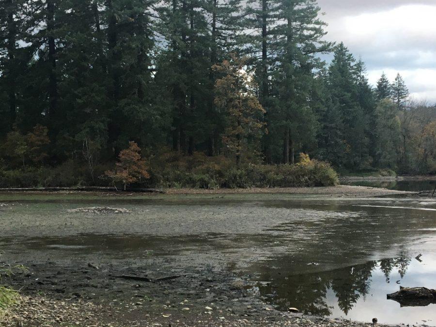 Toxic Lake In Camas' Backyard