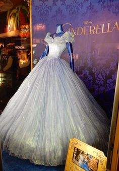 Lyndsie Moon Recreates Cinderellas Gown