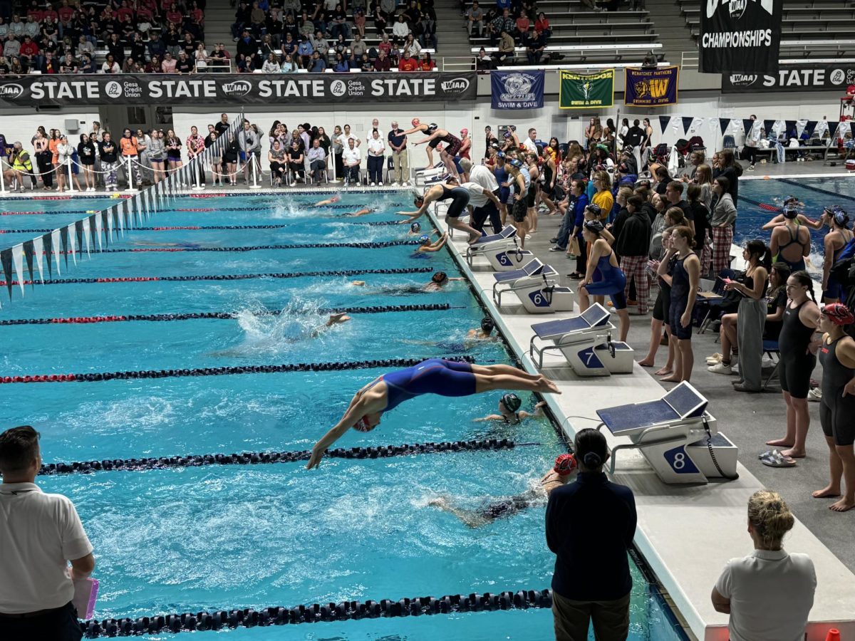 McGeachy jumping into the water at the start of the race