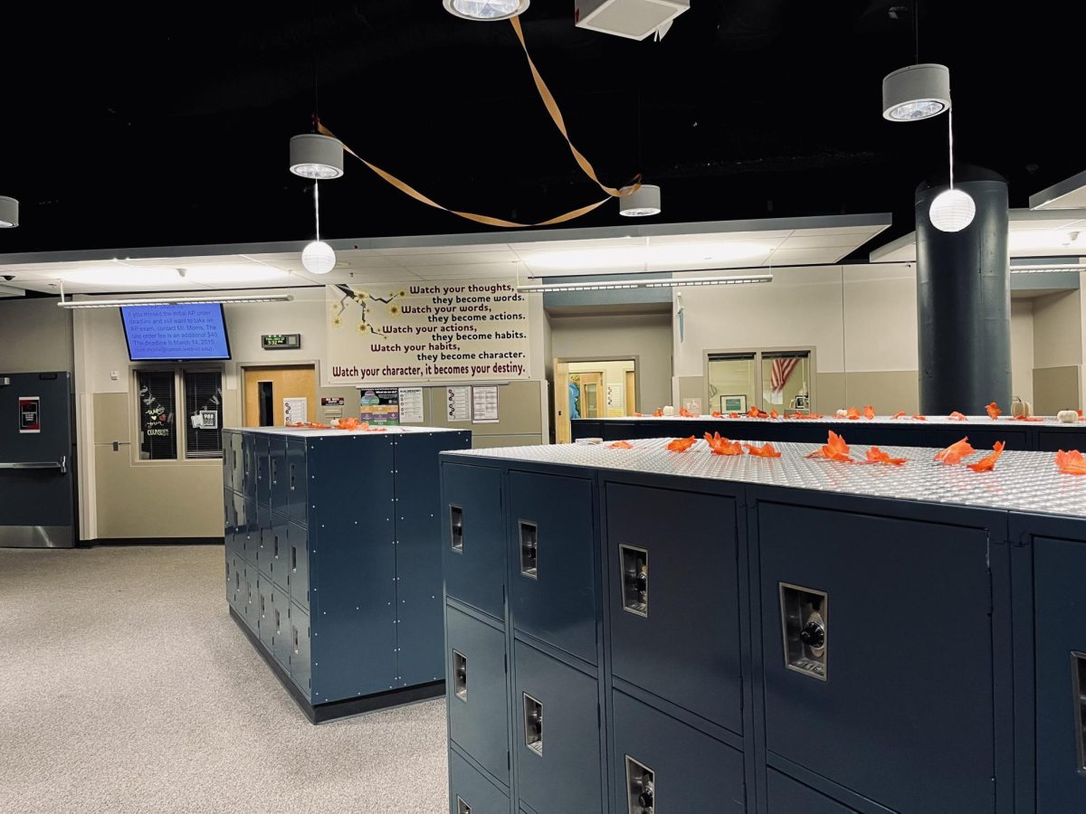 An empty locker bay after school hours